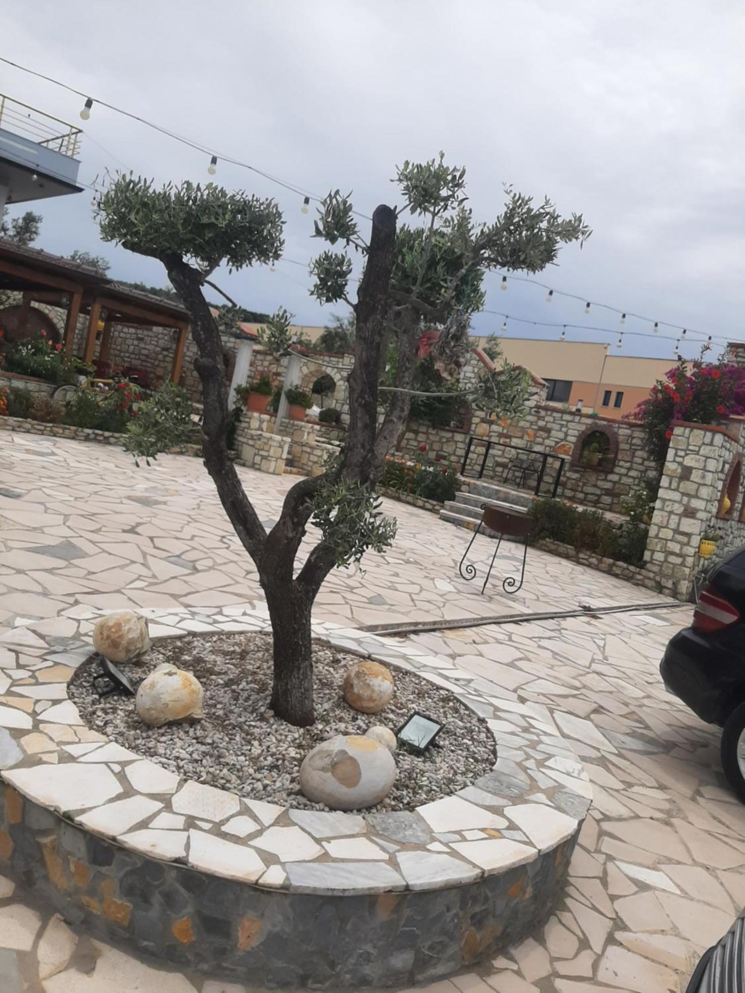 Hotel Floger World Vlore